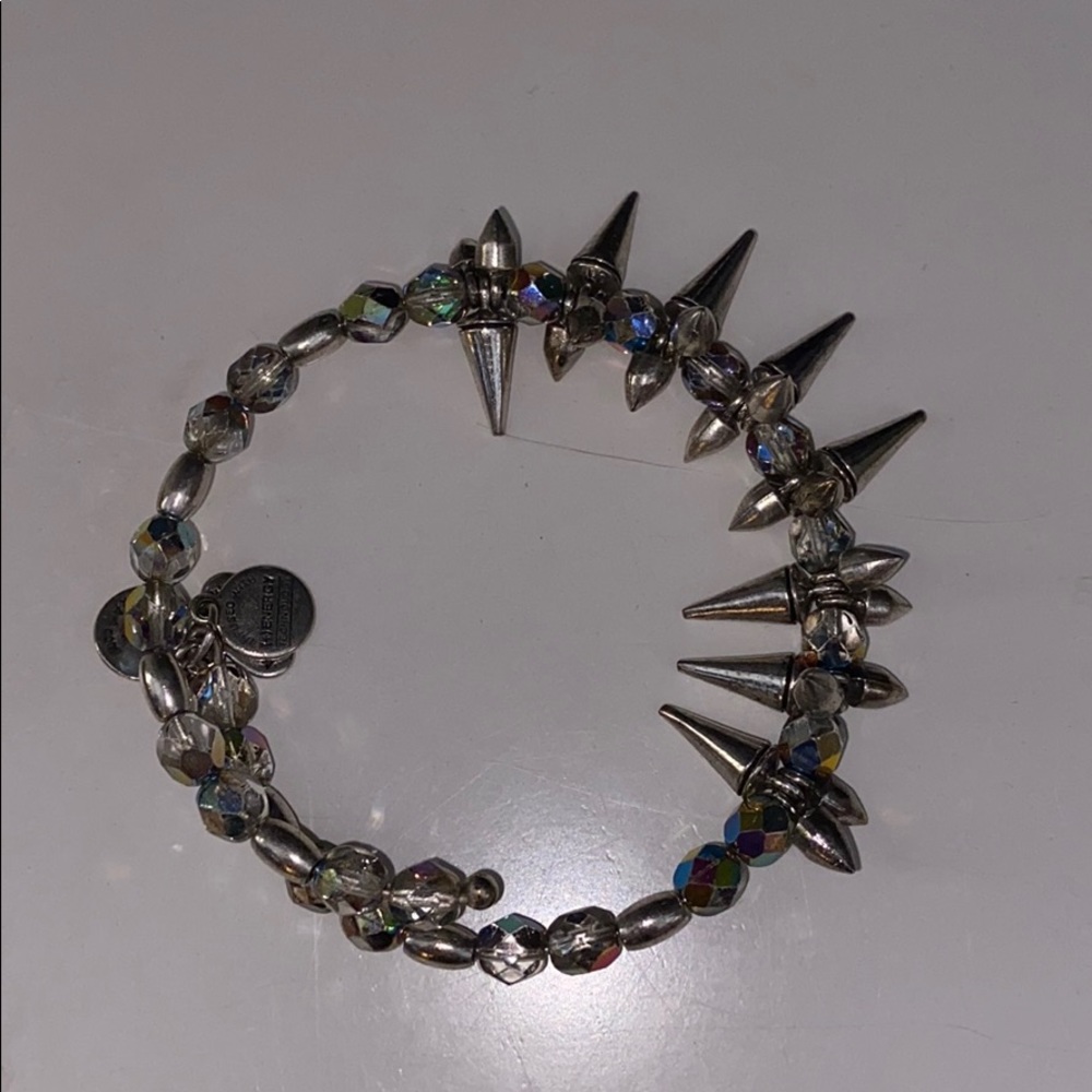 Sliver studded Alex and Ani